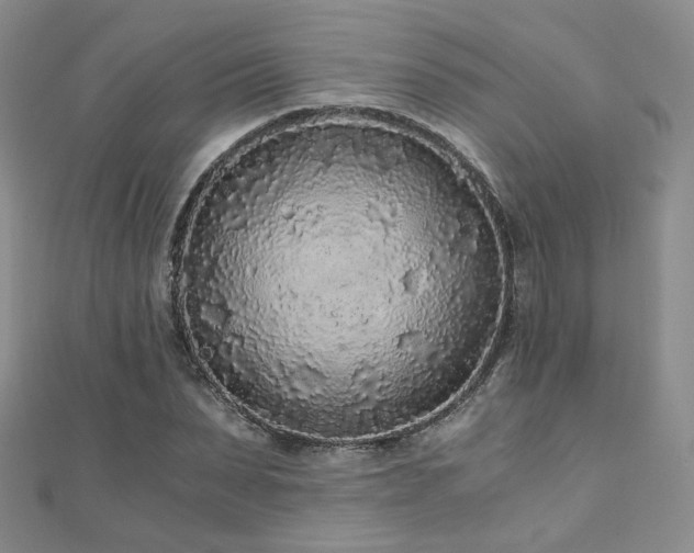 X0000110870879200906181200