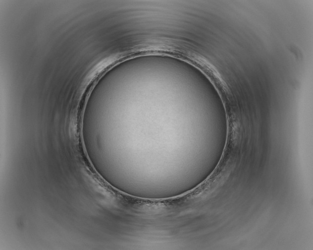 X0000110870882200906181200