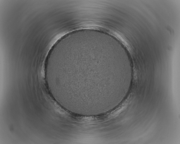 X0000110870883200906181200