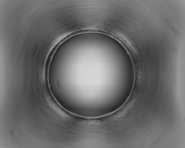 X0000110870884200906181200