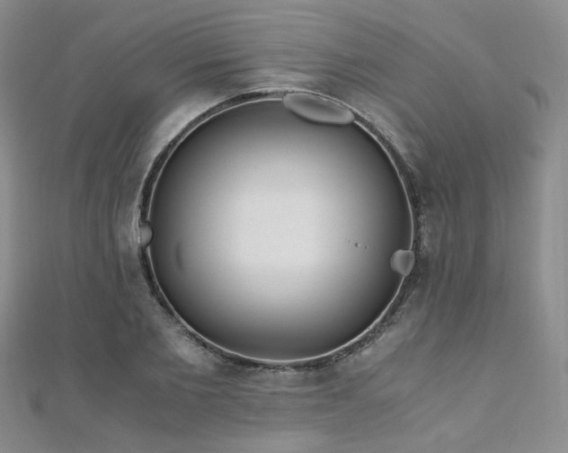 X0000110870885200906181200