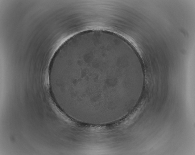 X0000110870887200906181200