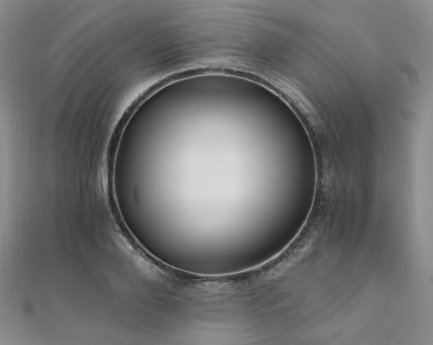 X0000110870888200906181200