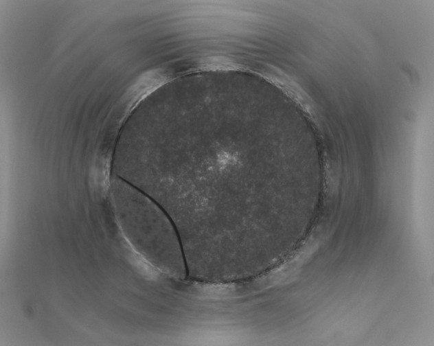 X0000110870889200906181200