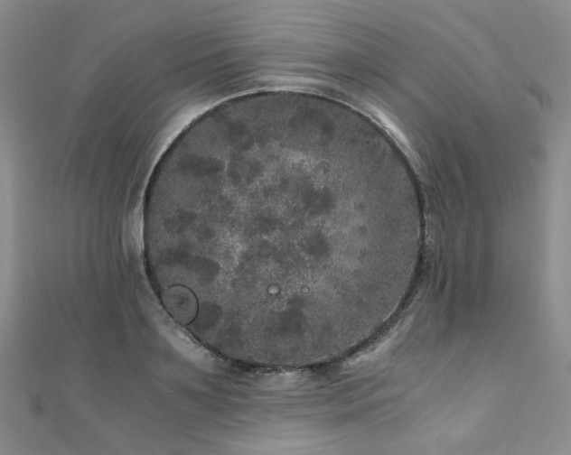 X0000110870891200906181200