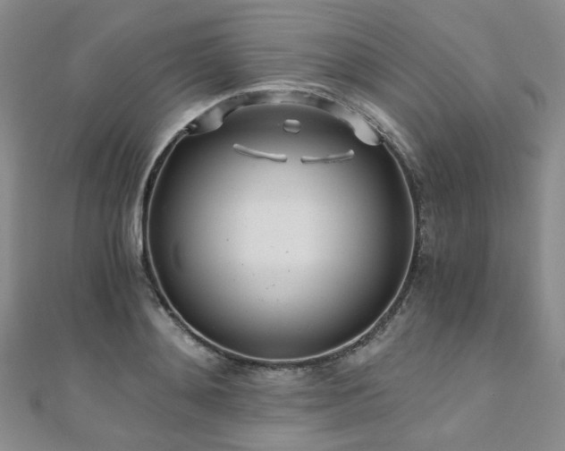 X0000110870892200906181200