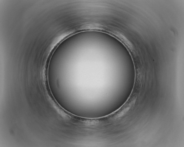 X0000110870893200906181200