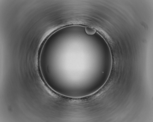 X0000110870894200906181200