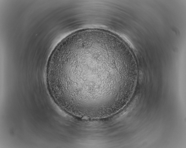 X0000110870895200906181200