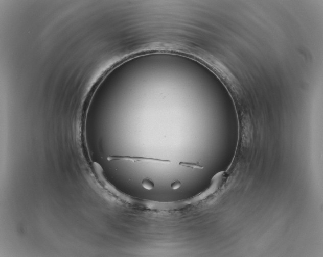 X0000110870896200906181200