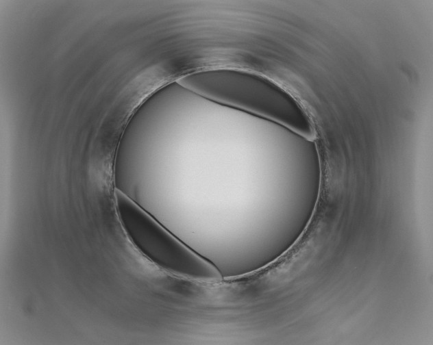 X0000110870897200906181200