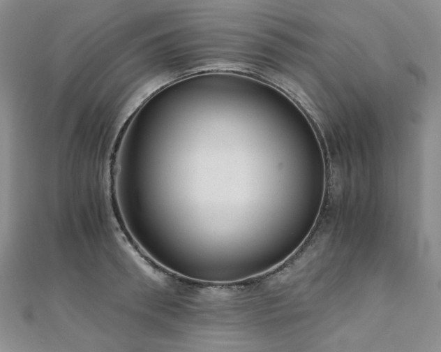 X0000110870898200906181200