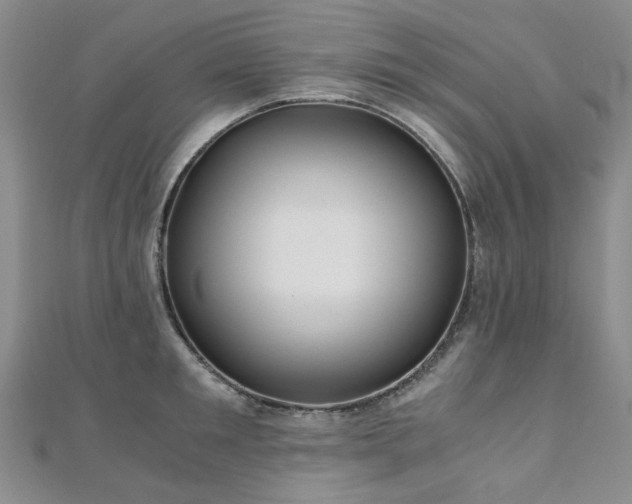 X0000110870901200906181200