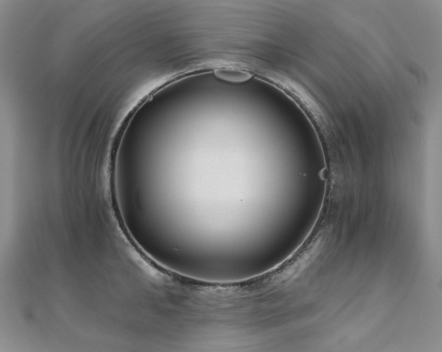 X0000110870902200906181200