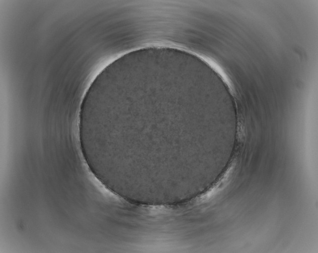 X0000110870903200906181200