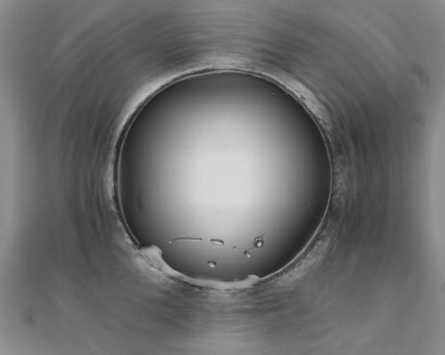 X0000110870904200906181200