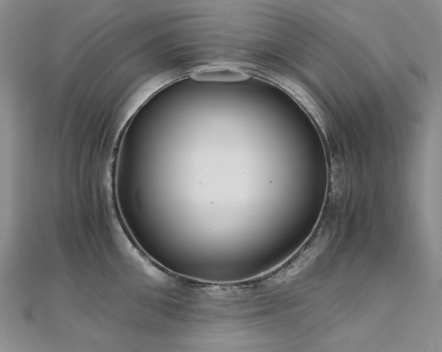 X0000110870906200906181200