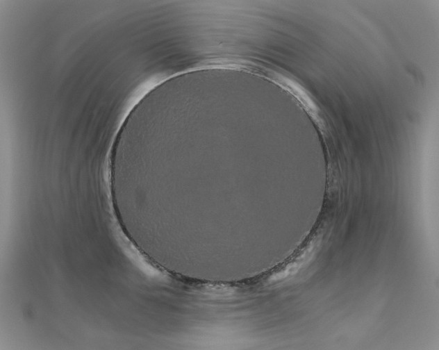 X0000110870907200906181200