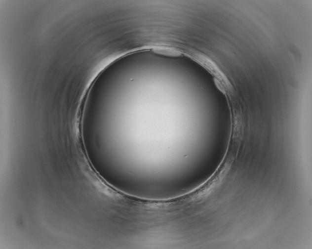 X0000110870908200906181200