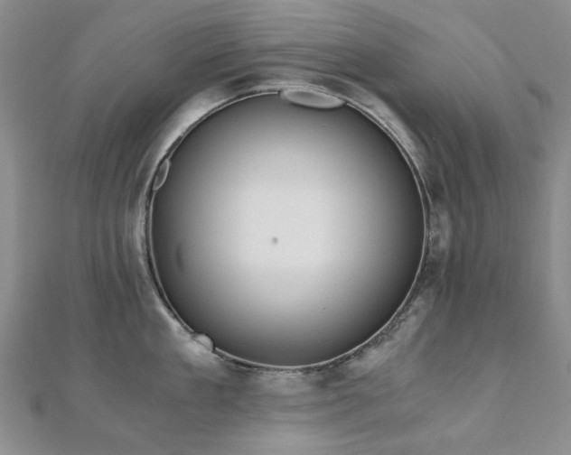 X0000110870909200906181200