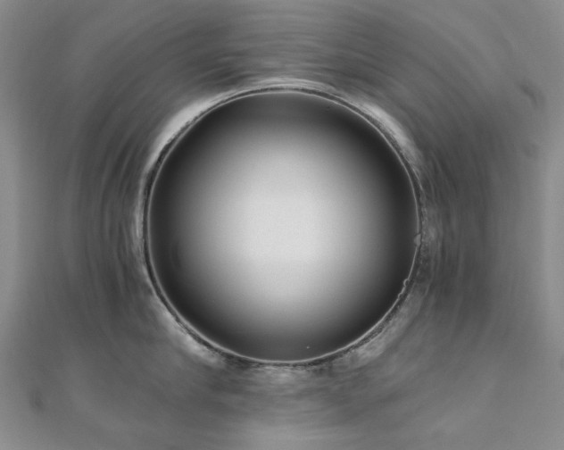 X0000110870910200906181200