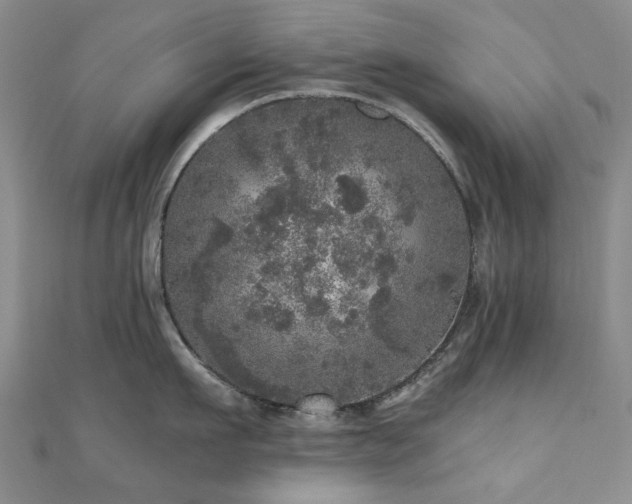 X0000110870911200906181200