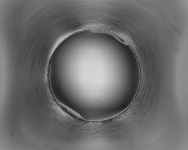 X0000110870912200906181159