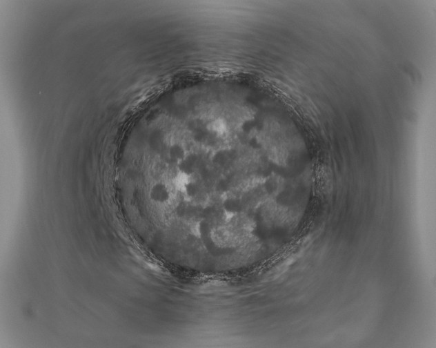 X0000110870913200906181159