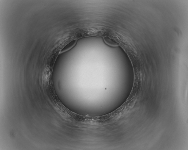 X0000110870914200906181159