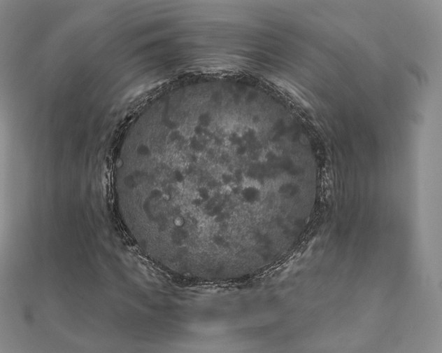 X0000110870917200906181159