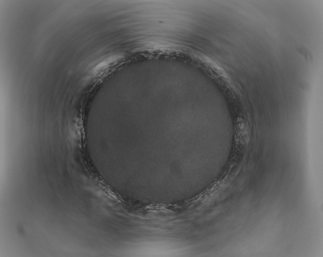 X0000110870918200906181159