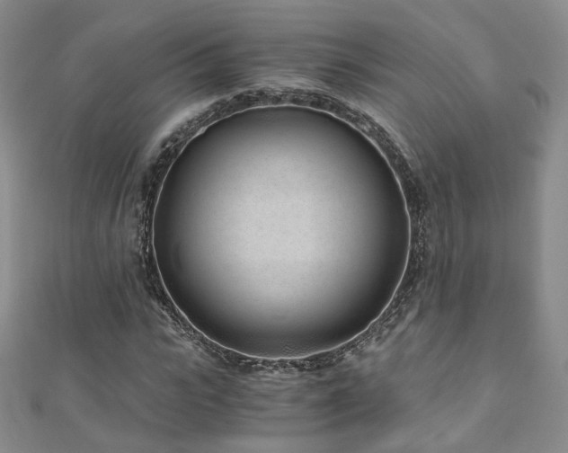 X0000110870919200906181159