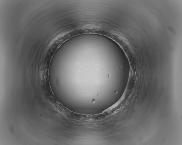 X0000110870920200906181159