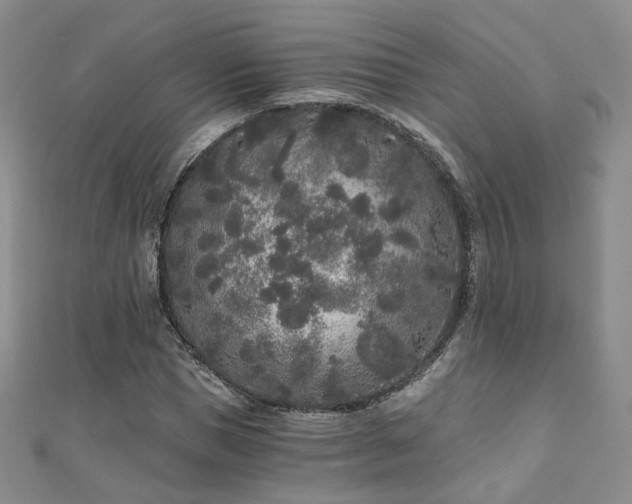 X0000110870921200906181159