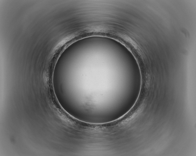 X0000110870922200906181159