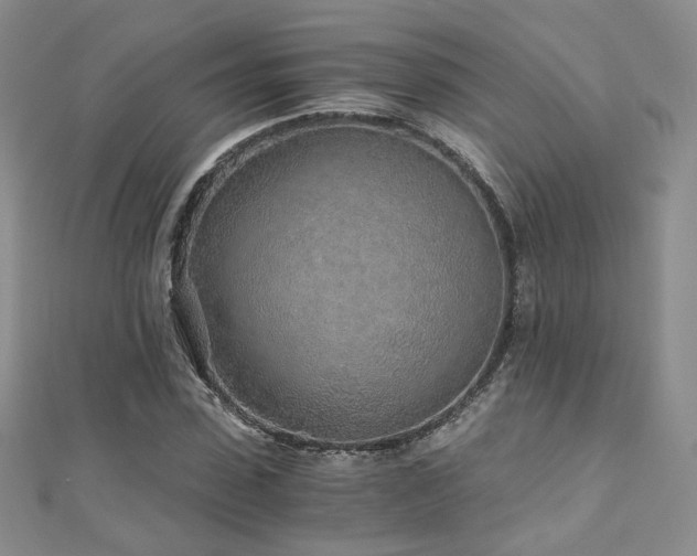 X0000110870923200906181159