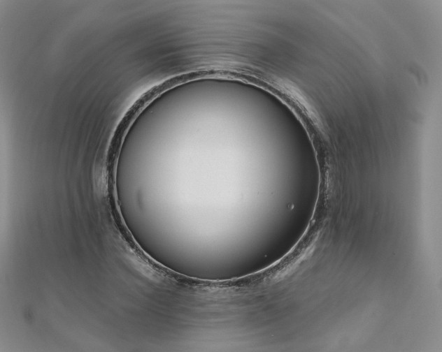 X0000110870924200906181159