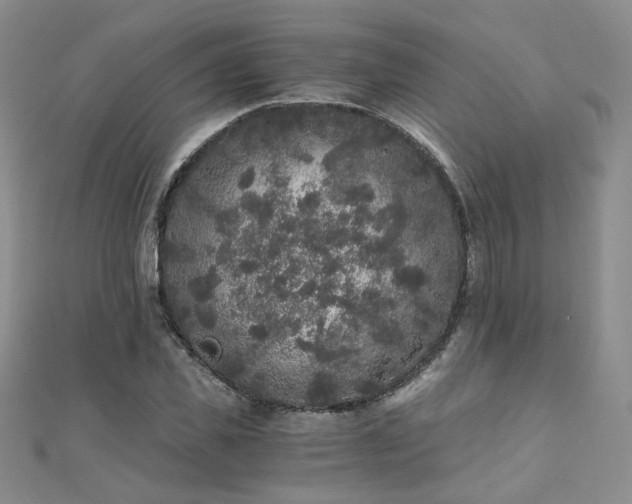 X0000110870925200906181159