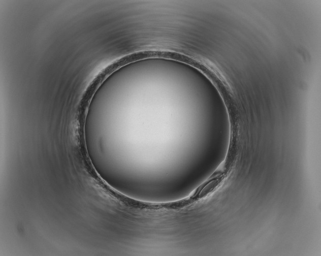 X0000110870926200906181159