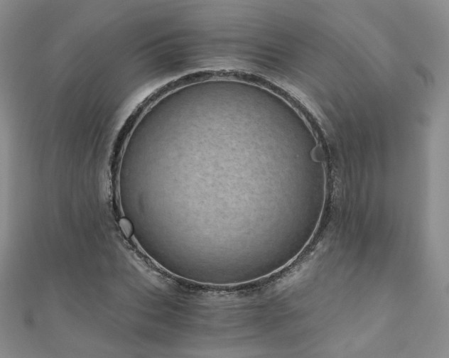 X0000110870927200906181159