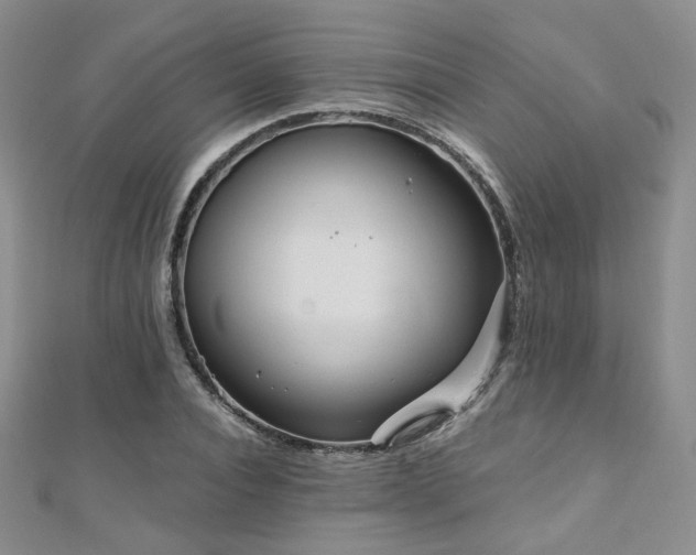 X0000110870928200906181159