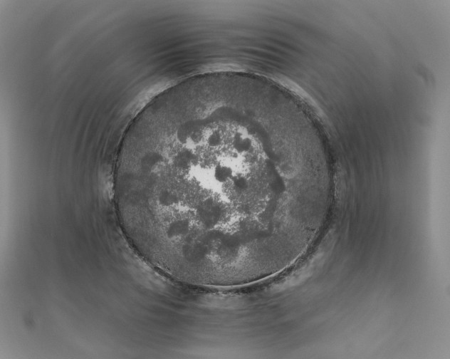 X0000110870929200906181159