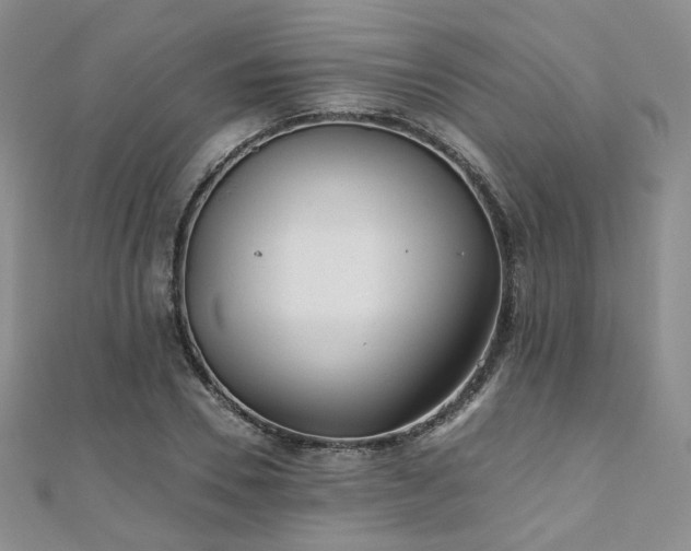 X0000110870930200906181159