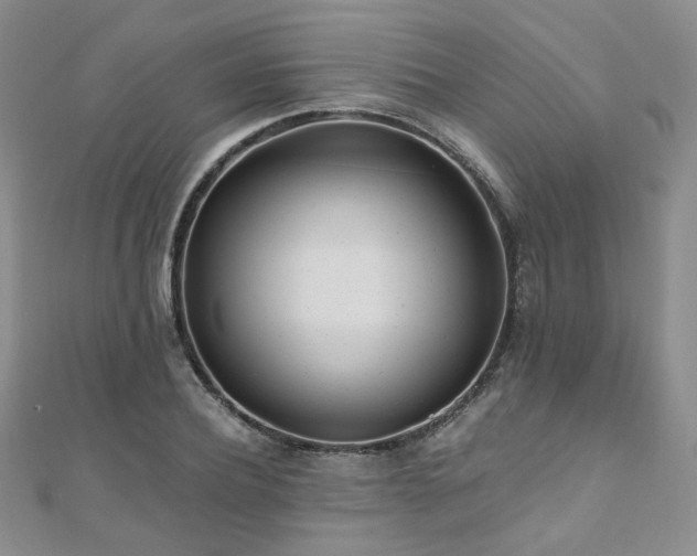 X0000110870932200906181159