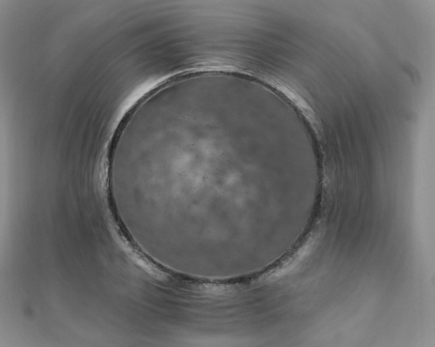 X0000110870933200906181159