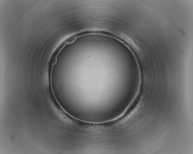 X0000110870934200906181159