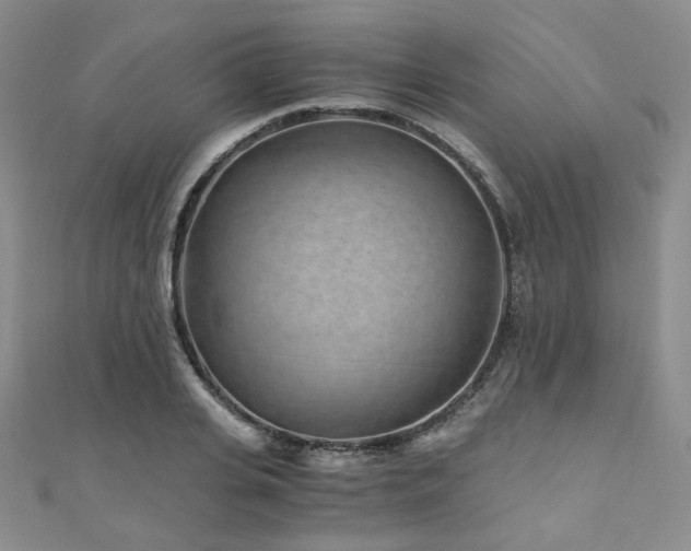 X0000110870935200906181159