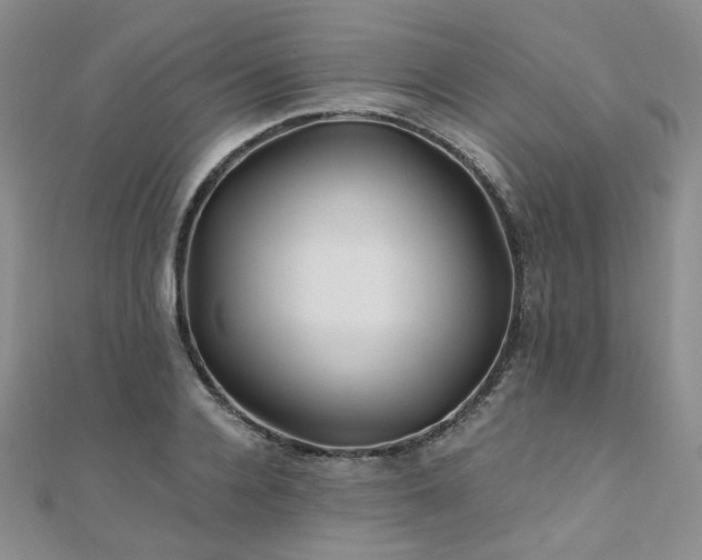 X0000110870936200906181159