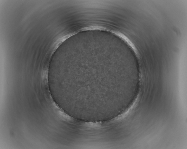 X0000110870937200906181159