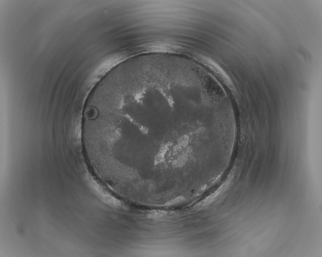 X0000110870938200906181159